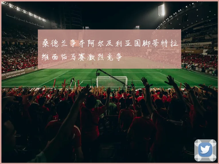 桑德兰争夺阿尔及利亚国脚蒂特拉维面临马赛激烈竞争